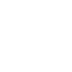 Electrical Vehicles